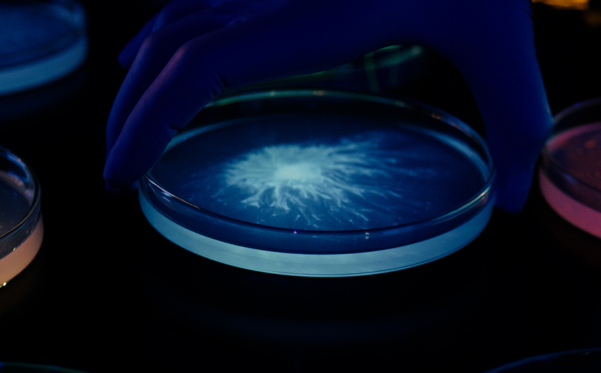 Η L&#8217;ORÉAL αποκτά την ερευνητική εταιρία Lactobio, ηγέτιδα στα προβιοτικά ακριβείας