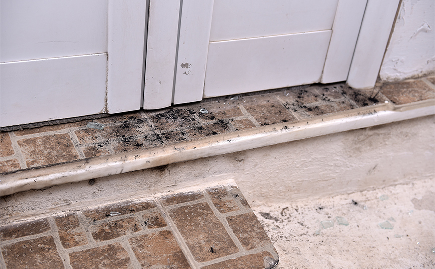 Νεκρή 43χρονη στη Σαλαμίνα Νεκρή 43χρονη στη Σαλαμίνα