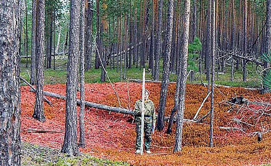 Το αρχαιότερο φρούριο στον κόσμο ανακαλύφθηκε στη Σιβηρία