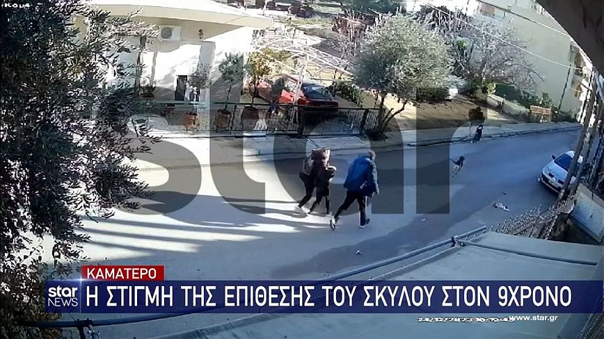 Βίντεο ντοκουμέντο από τη στιγμή της επίθεσης του σκύλου στο 9χρονο αγόρι στο Καματερό