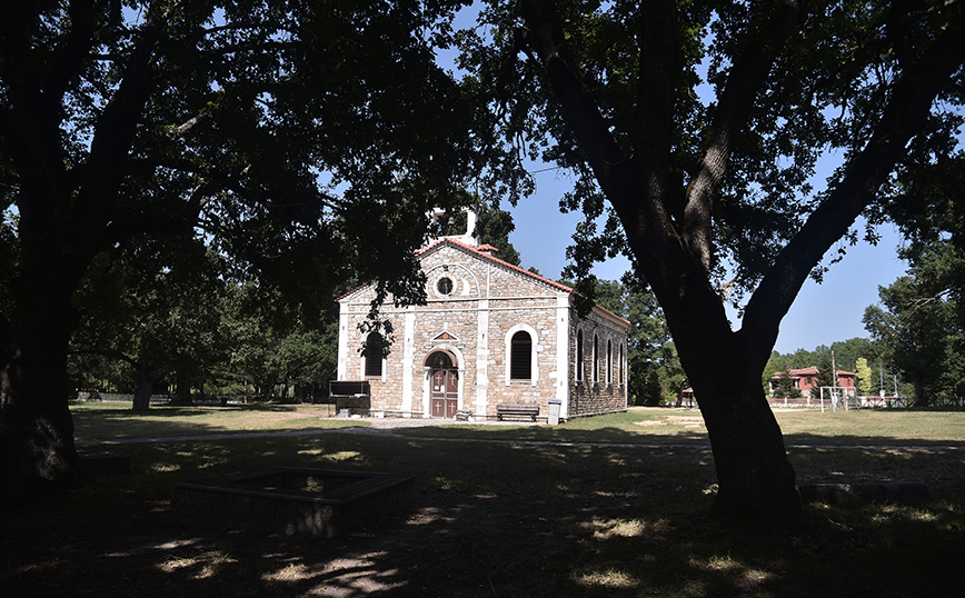 Αρναία Αρναία