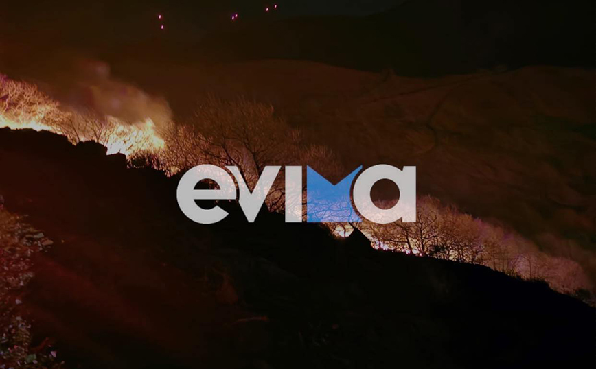 Φωτιά στην Κάρυστο – Ανησυχία για τους ισχυρούς ανέμους