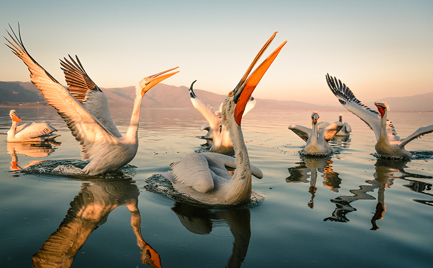 Λίμνη Κερκίνη Λίμνη Κερκίνη
