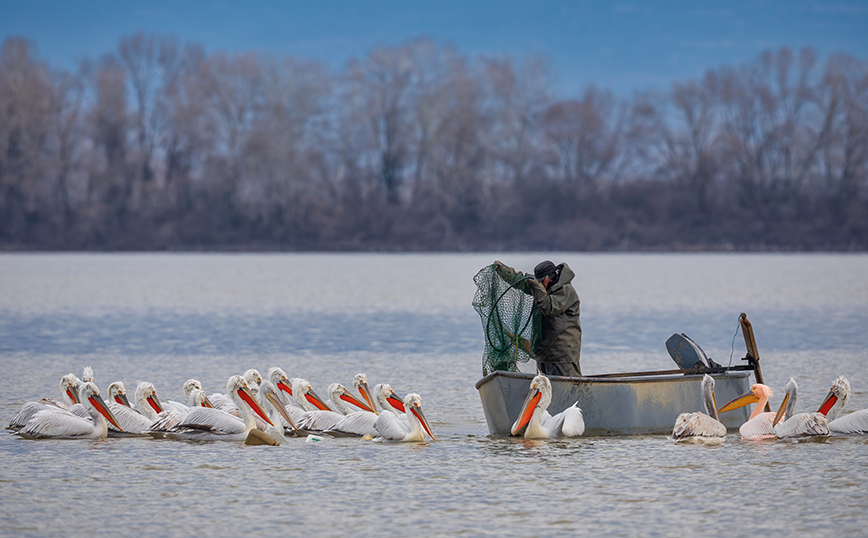 Λίμνη Κερκίνη Λίμνη Κερκίνη