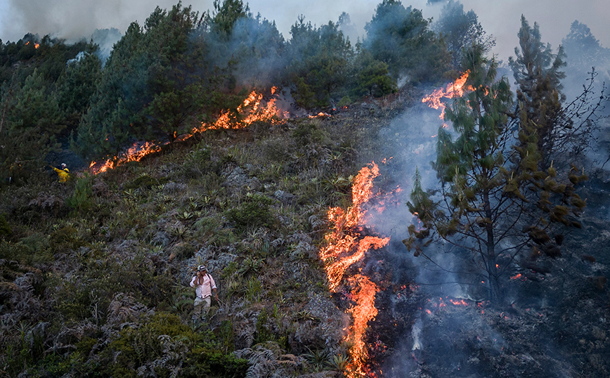 Χάος στην Κολομβία – Στις φλόγες η χώρα με πάνω από 20 δασικές πυρκαγιές εν μέσω καύσωνα