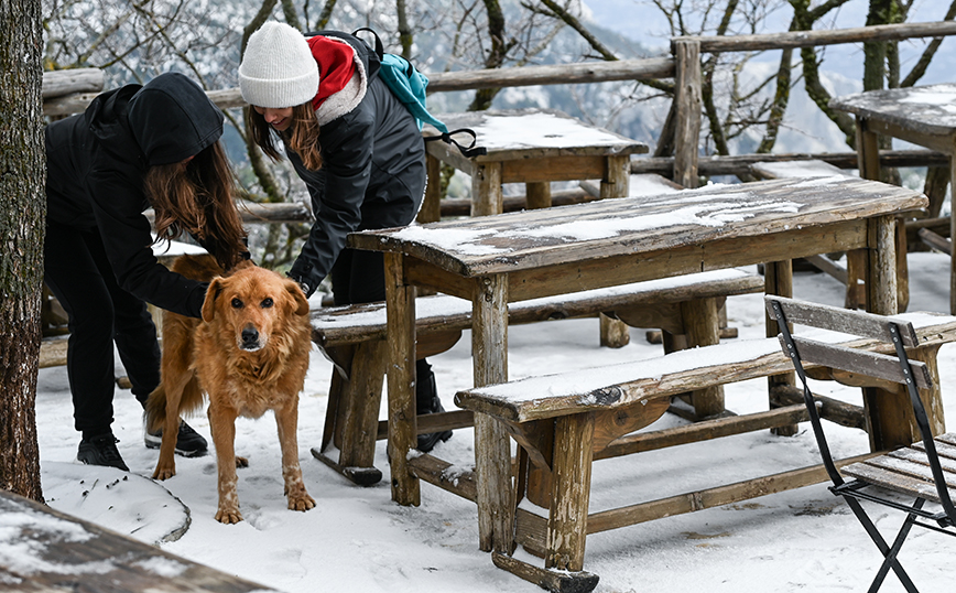 Χιονόπτωση στην Πάρνηθα Χιονόπτωση στην Πάρνηθα