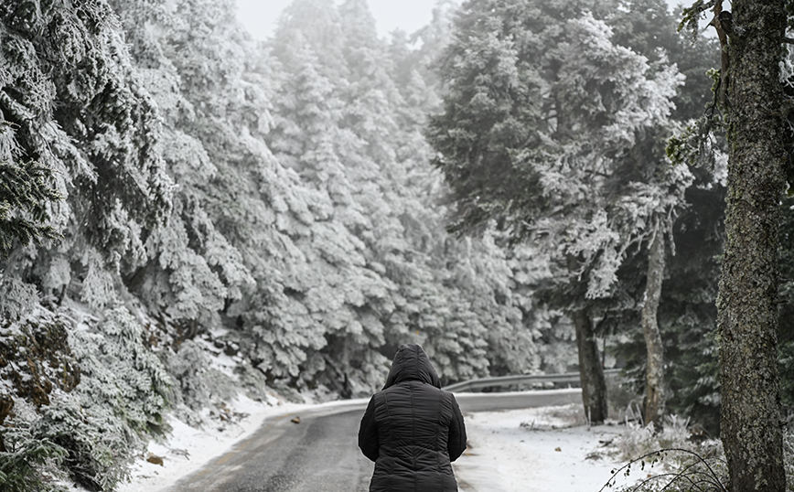 Χιονόπτωση στην Πάρνηθα Χιονόπτωση στην Πάρνηθα