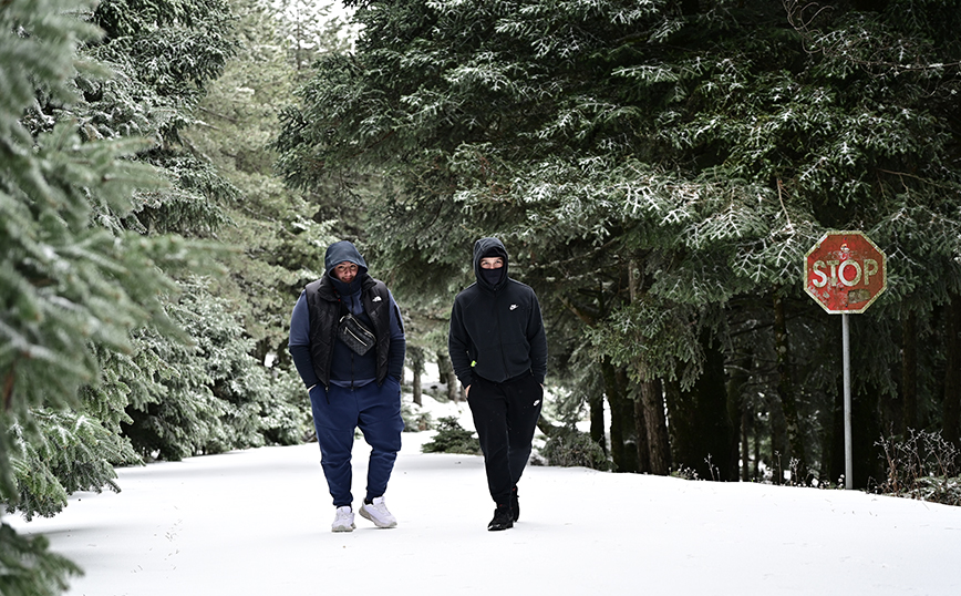 Χιονόπτωση στην Πάρνηθα Χιονόπτωση στην Πάρνηθα