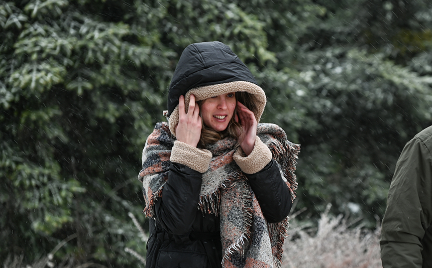 Χιονόπτωση στην Πάρνηθα Χιονόπτωση στην Πάρνηθα