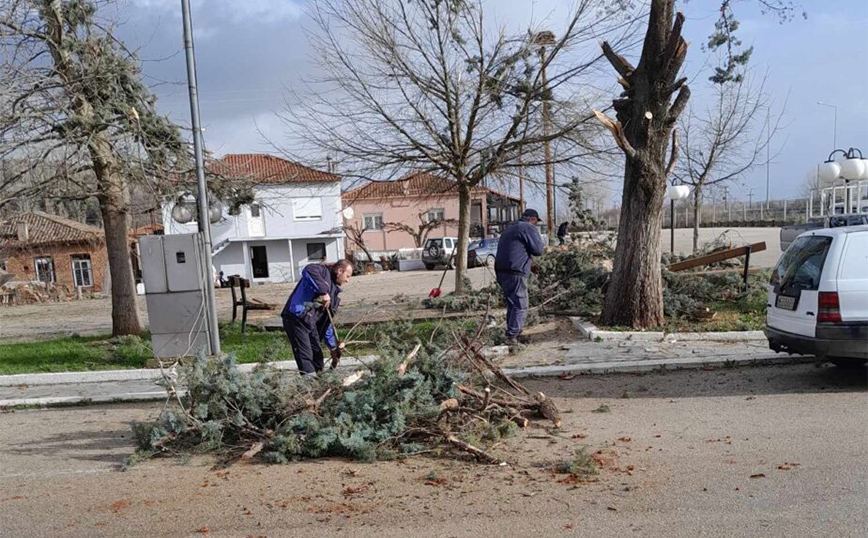 Μεγάλες καταστροφές από ανεμοστρόβιλο που «χτύπησε» χωριό στον Έβρο