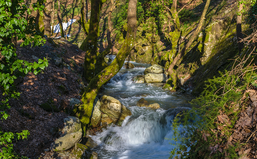 Στενή, Εύβοια Στενή, Εύβοια
