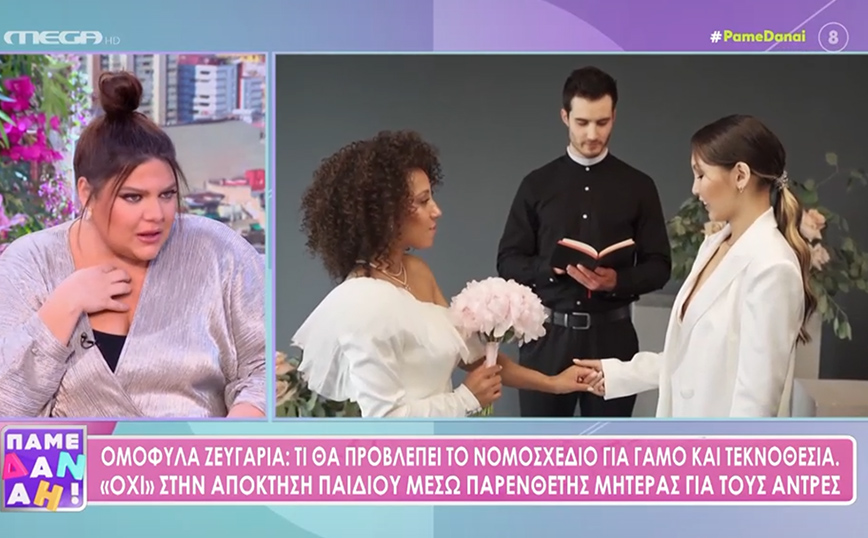 Η εξομολόγηση της Δανάης Μπάρκα για τις προσπάθειες υιοθεσίας – «Το παλέψαμε, αυτό που γινόταν με τα χαρτιά ήταν ανεκδιήγητο»