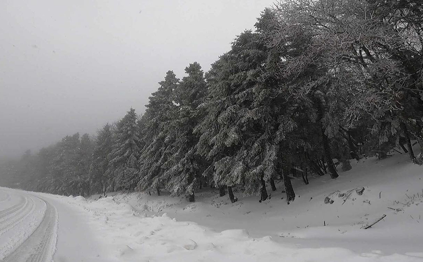 Μάχη για να παραμείνουν οι δρόμοι της Εύβοιας ανοιχτοί, εξαιτίας του χιονιά