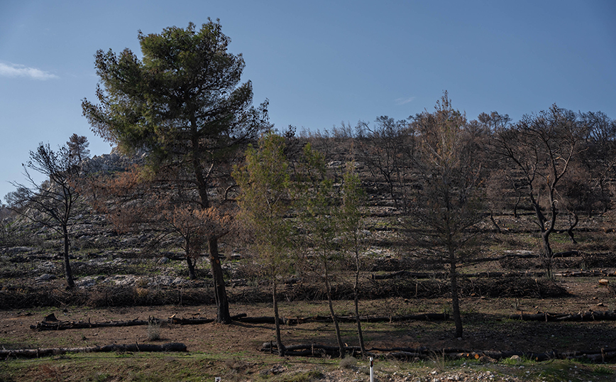 ΤΕΡΝΑ: Χρηματοδότηση αντιδιαβρωτικών έργων 1 εκατ. ευρώ  στις πληγείσες από τις πυρκαγιές περιοχές της Μάνδρας