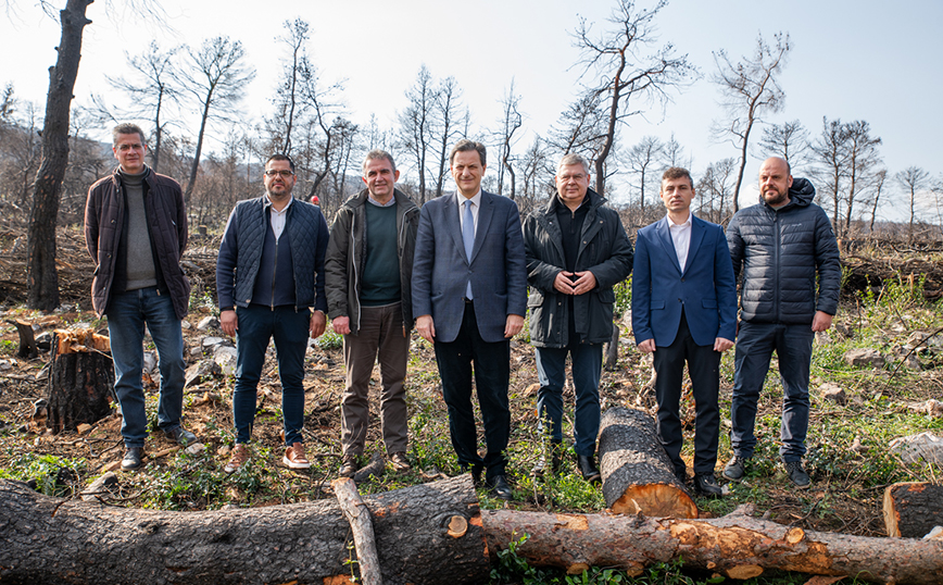 Η ΗELLENiQ ENERGY ολοκληρώνει  τα κρίσιμα αντιδιαβρωτικά έργα στις καμένες δασικές εκτάσεις της Δυτικής Αττικής