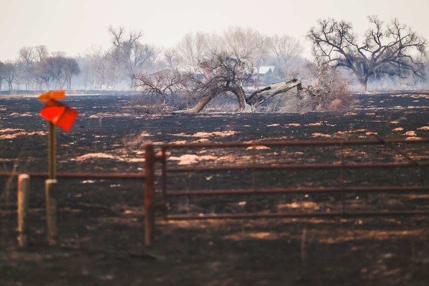 Τη μεγαλύτερη πυρκαγιά της ιστορίας του αντιμετωπίζει το Τέξας &#8211; Δύο νεκροί και 5 εκατ. στρέμματα καμένα