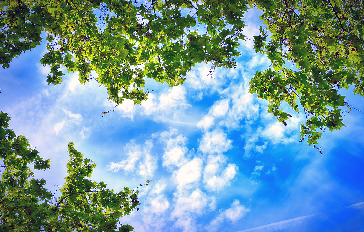 «Διπλό πρόσωπο» θα έχει ο Μάρτιος στο σκηνικό του καιρού &#8211; «Μεγάλη θερμοκρασιακή διαφορά πρωί και μεσημέρι», λέει ο Μαρουσάκης