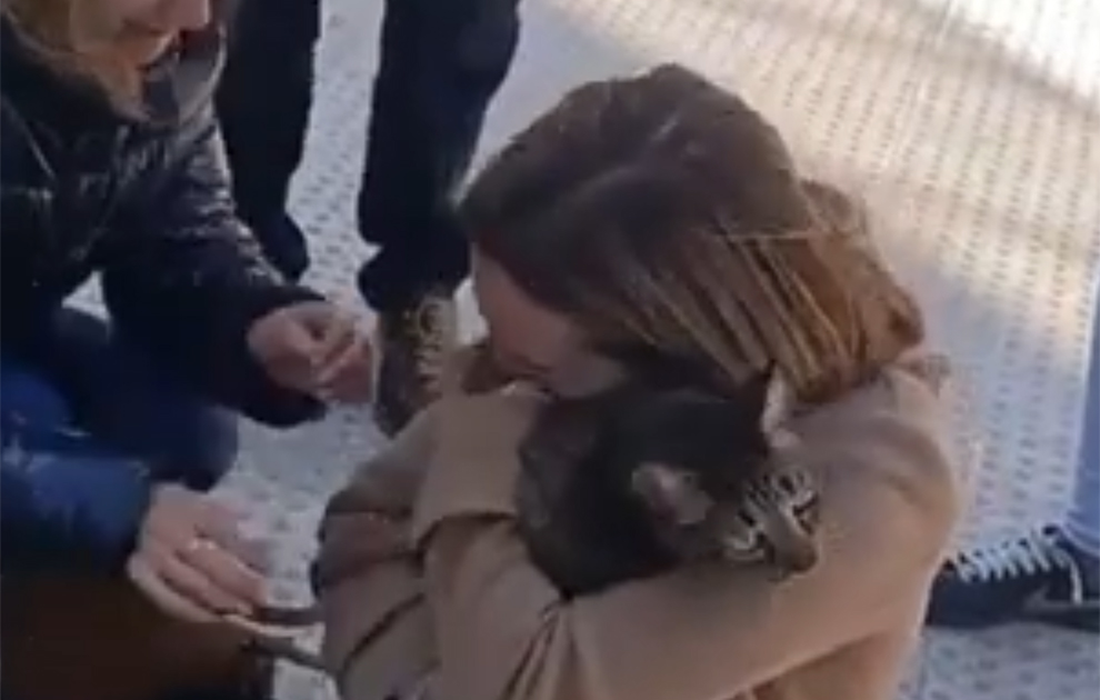 Ισπανία: 8 μέρες μετά τη φωτιά στη Βαλένθια βρέθηκε ζωντανός ο γάτος Κόκο – Συγκινητικό βίντεο
