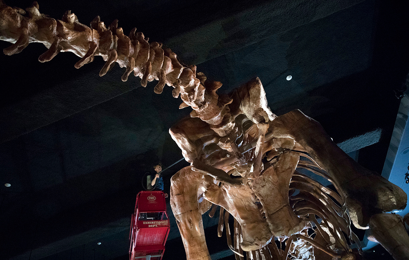 Βρήκε τυχαία δεινόσαυρο 70 εκατομμυρίων ετών και το κράτησε μυστικό για δύο χρόνια