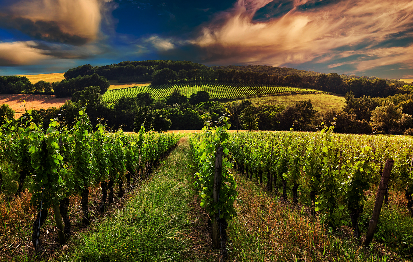 Μπορντώ Μπορντώ