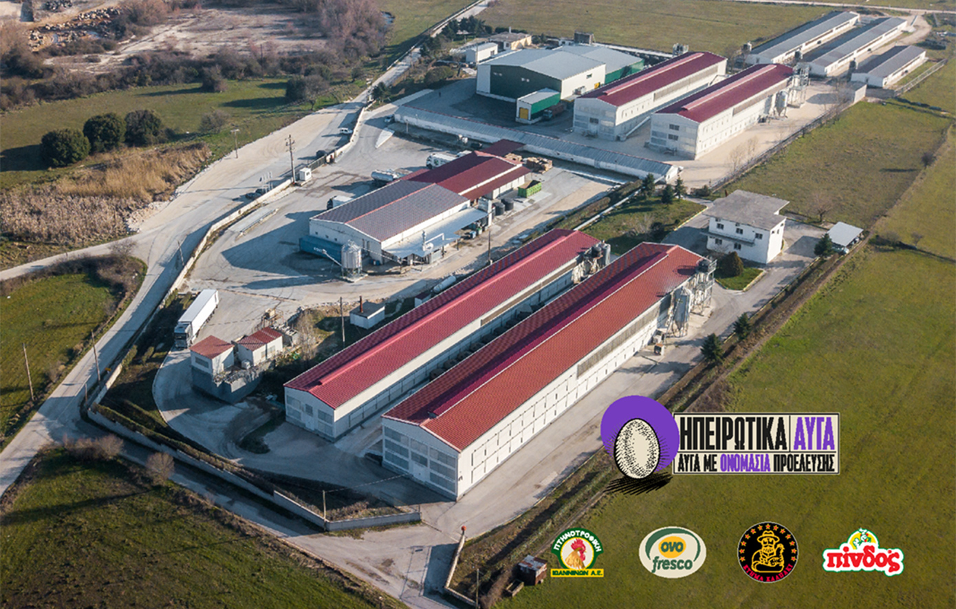 Ηπειρώτικα Αυγά: Ανάπτυξη μέσα από στρατηγικές επενδύσεις και καινοτομία σε προϊόντα