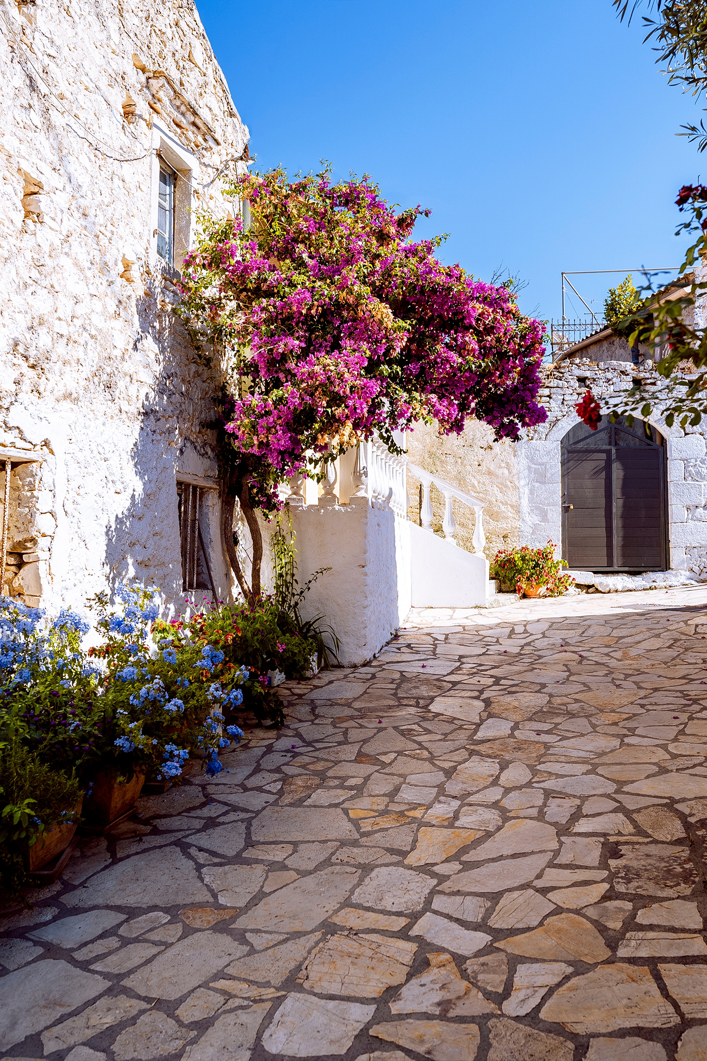 Αφιώνας Αφιώνας