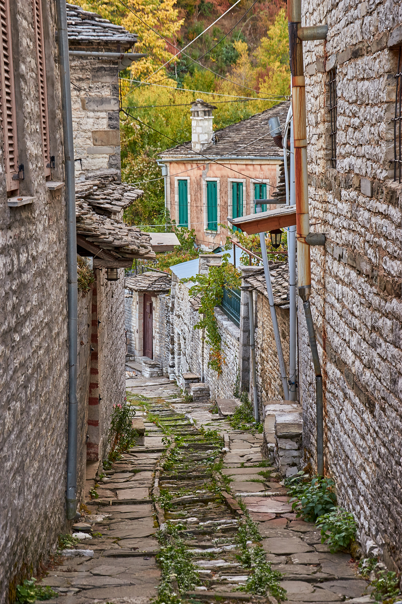 Δίλοφο Δίλοφο