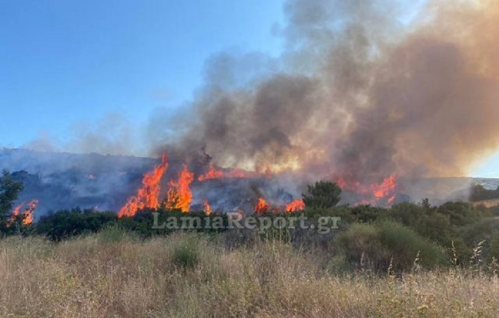 Σε ύφεση η πυρκαγιά στη Φθιώτιδα