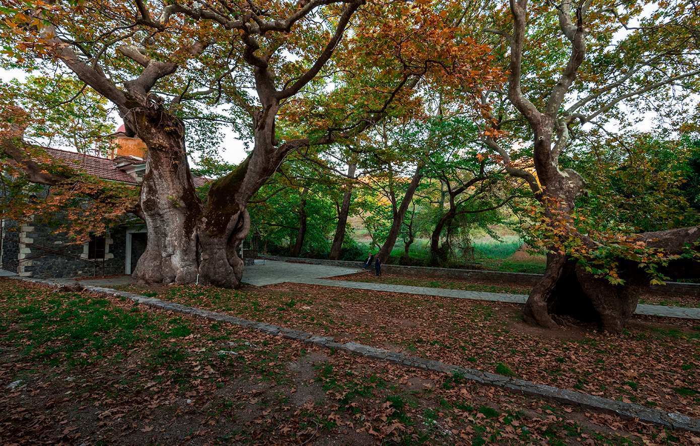 Καστάνιτσα Καστάνιτσα