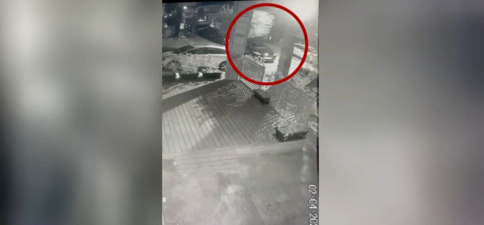 Νέα Ιωνία: 69χρονη πέταξε στα σκουπίδια τέσσερα κουταβάκια – Της επιβλήθηκε πρόστιμο 120.000 ευρώ