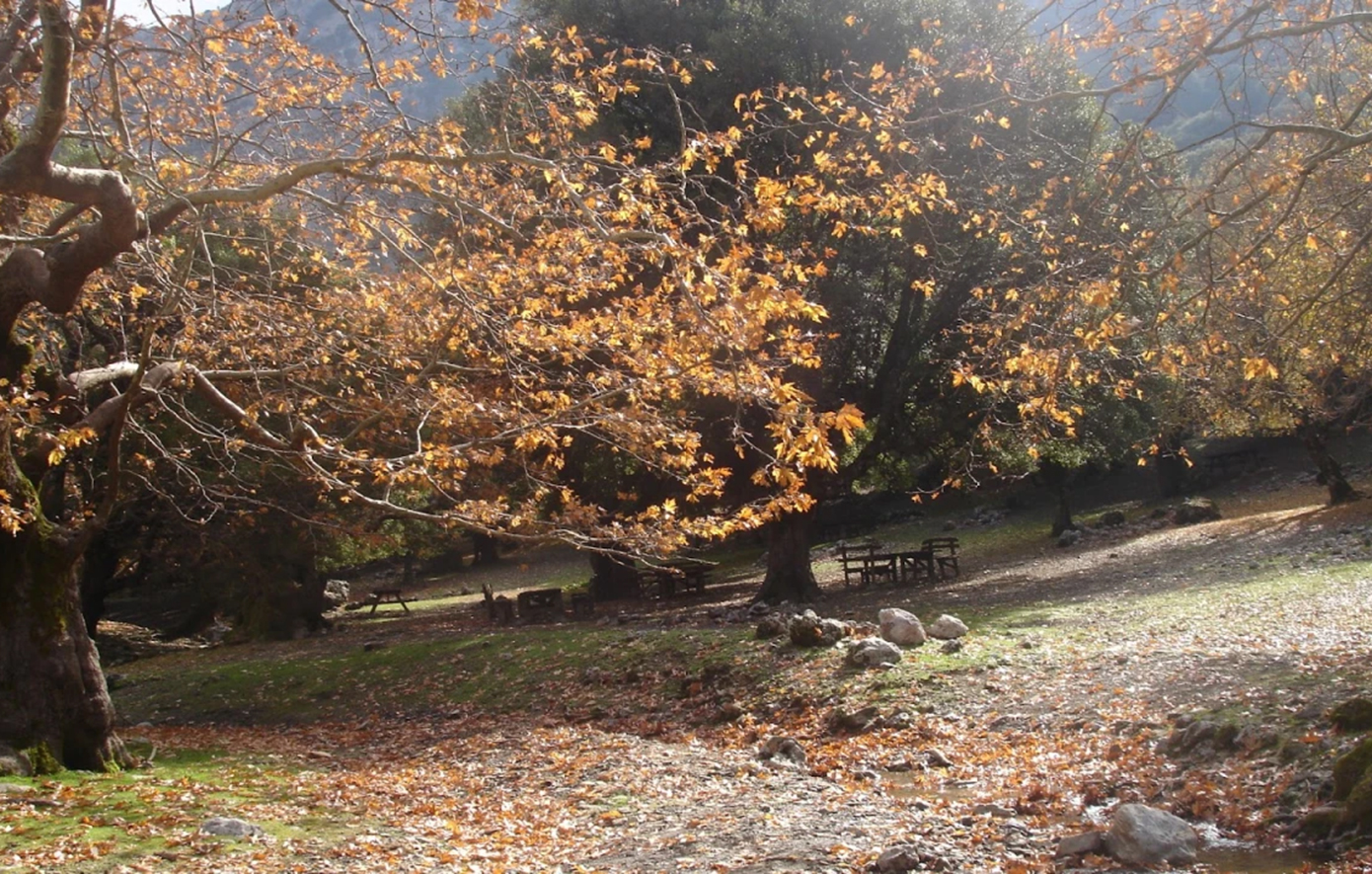 Απαγορεύθηκε η κυκλοφορία σε περιοχές NATURA, δασικά οικοσυστήματα, πάρκα και άλση σε Χανιά και Ρέθυμνο