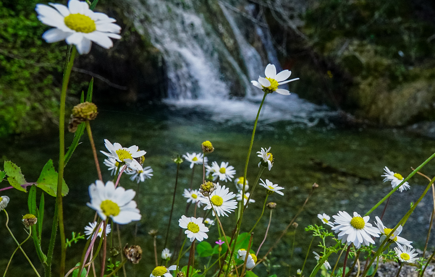 Νύμφες Κέρκυρα Νύμφες Κέρκυρα