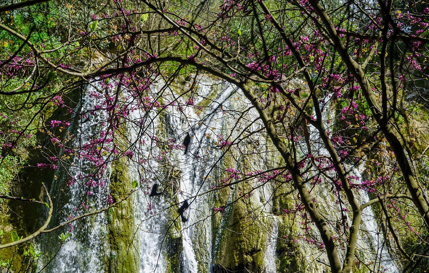 Νύμφες Κέρκυρα Νύμφες Κέρκυρα