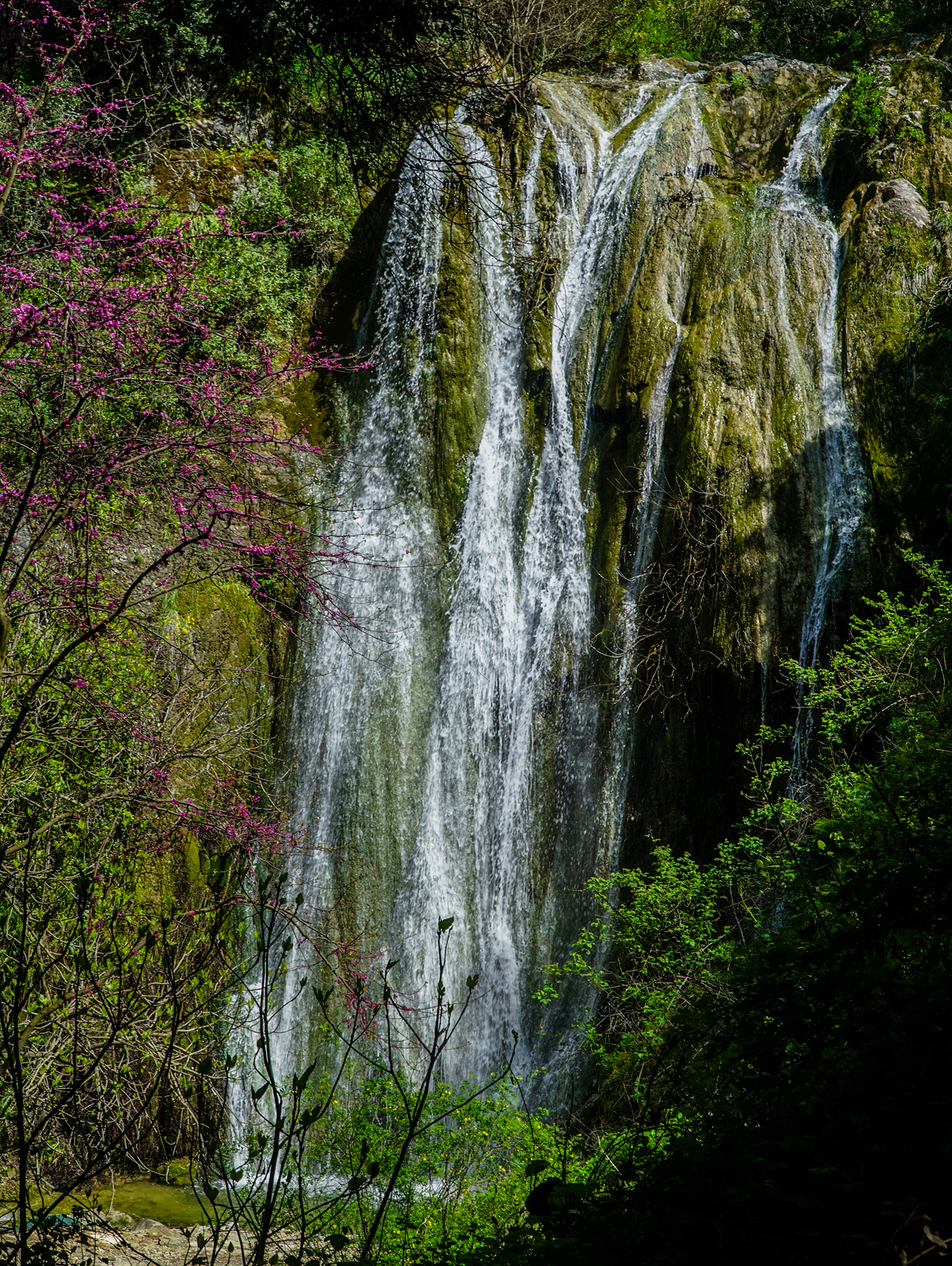 Νύμφες Κέρκυρα Νύμφες Κέρκυρα
