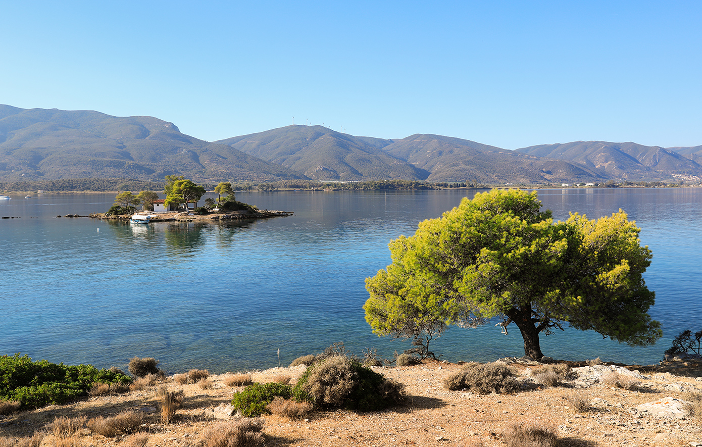 Πόρος δασκαλιό