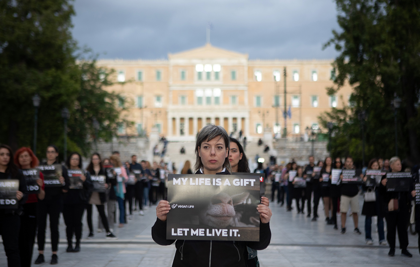 Συγκέντρωση διαμαρτυρίας για τη μαζική σφαγή ζώων το Πάσχα