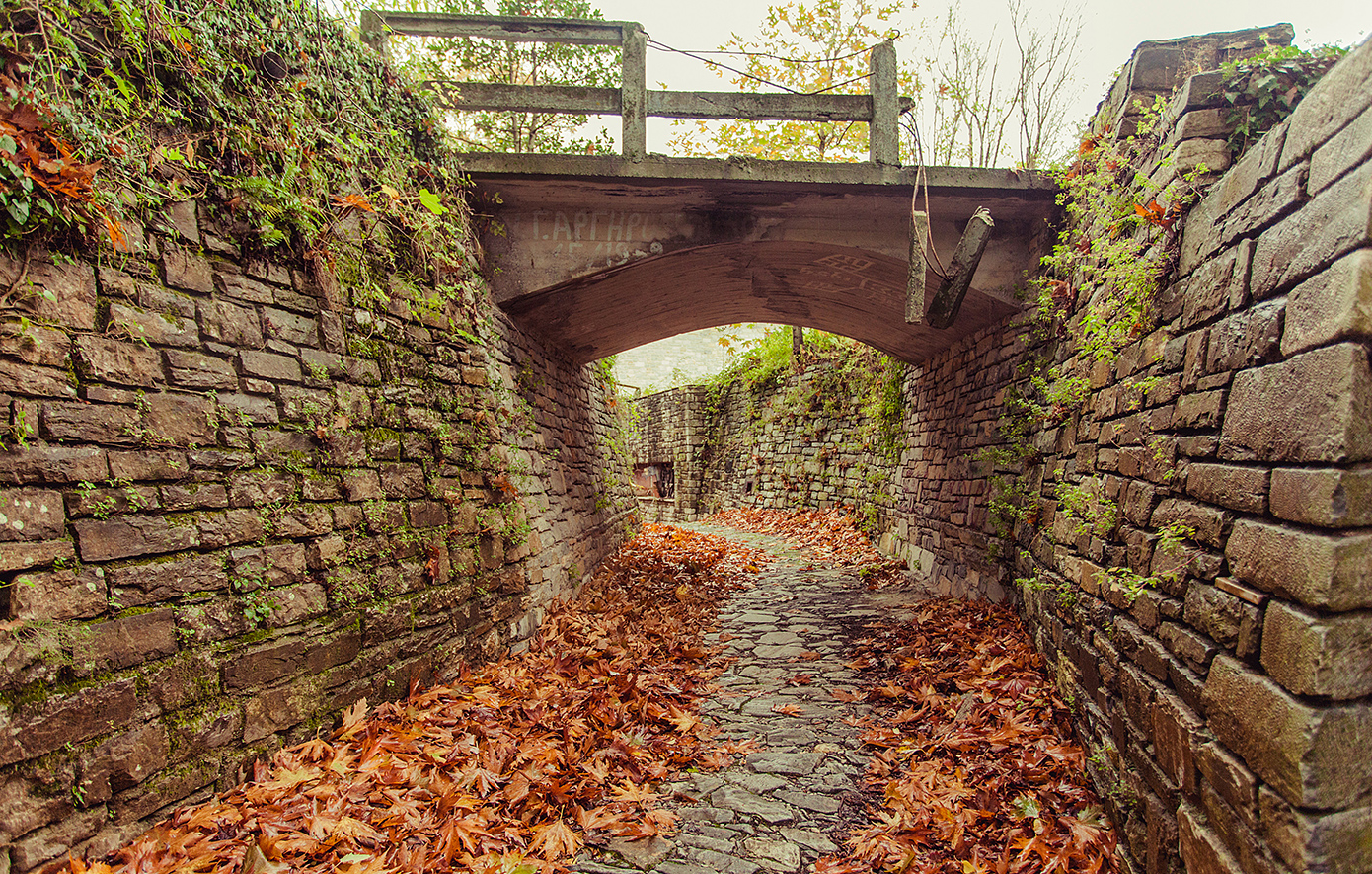 Τσαγκαράδα Τσαγκαράδα