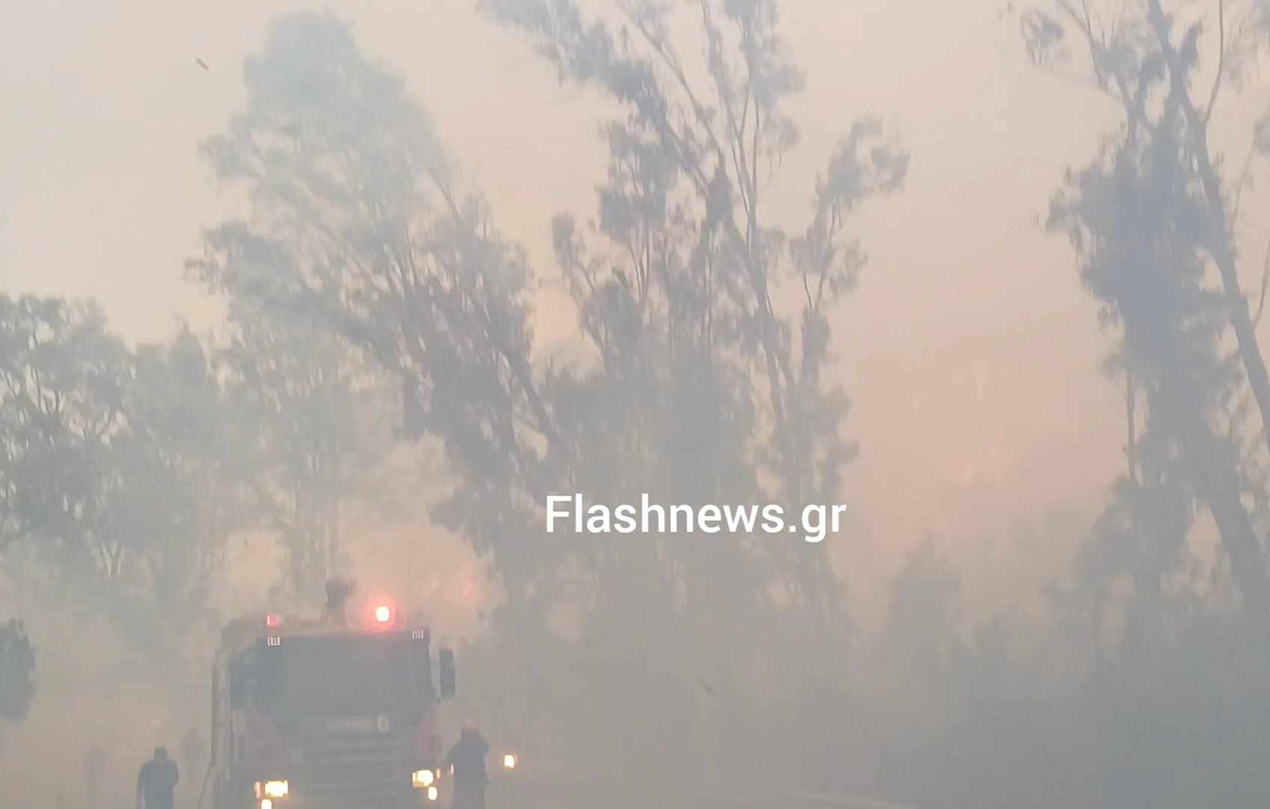 Μεγάλη φωτιά κοντά στον Ναύσταθμο στη Σούδα, μήνυμα από το 112 – Εκκενώθηκε ο οικισμός, ασθενείς μεταφέρονται στο ναυτικό νοσοκομείο