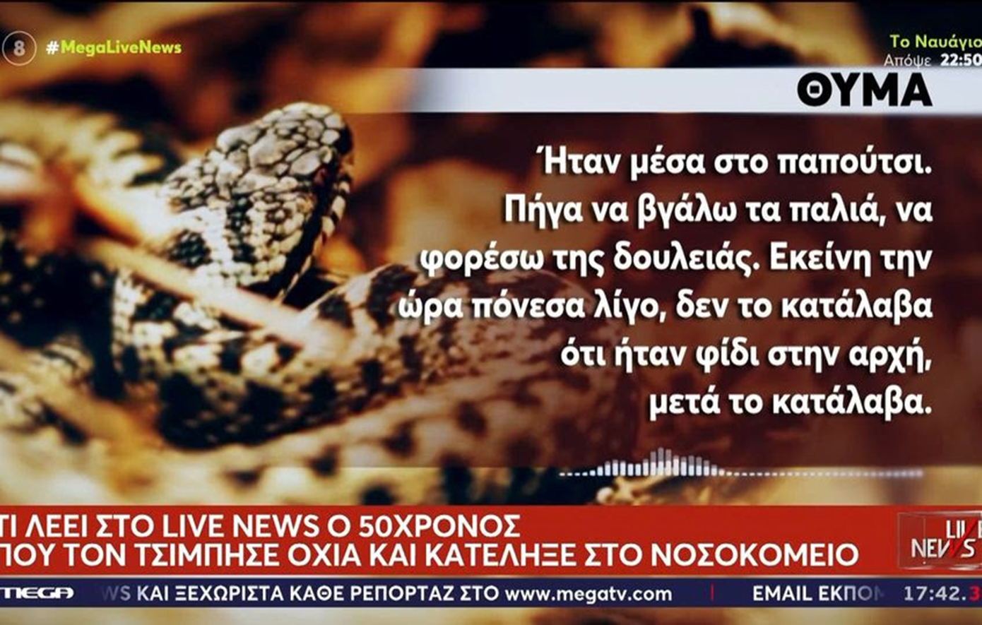 Πήγε να φορέσει τα παπούτσια του και τον δάγκωσε δύο φορές οχιά &#8211; «Έχασα τις αισθήσεις μου»