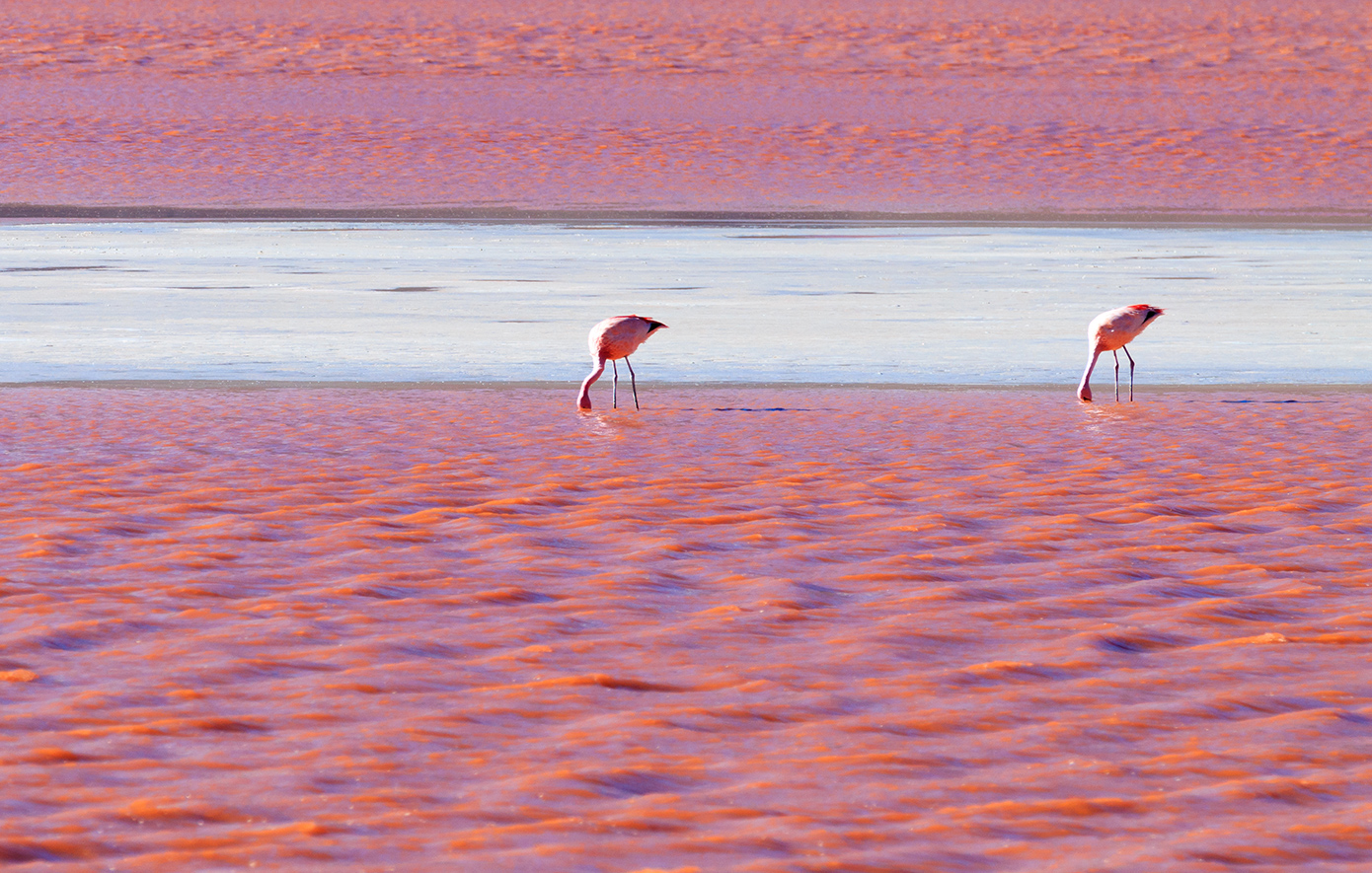 Λίμνη Λίμνη