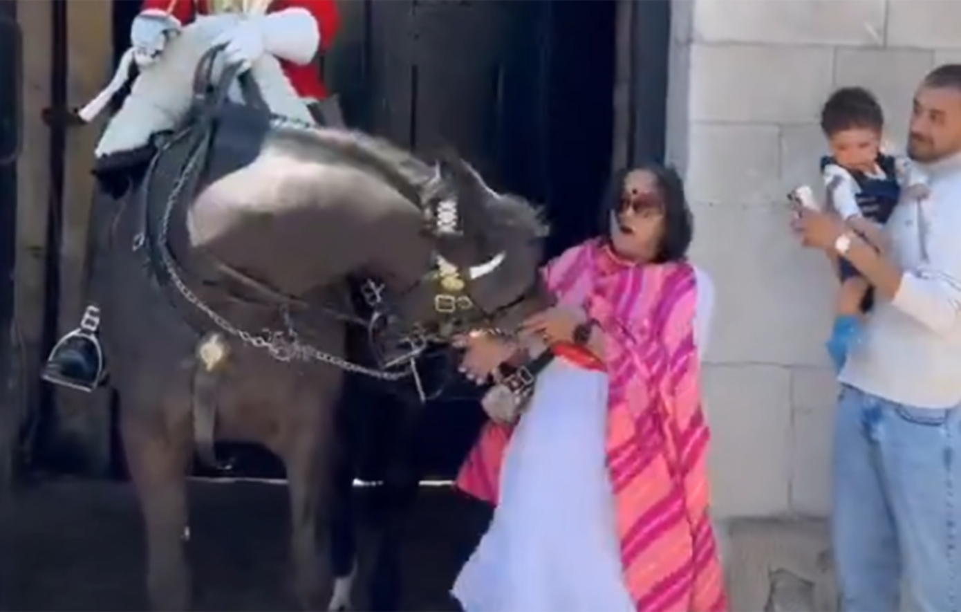 Η στιγμή που τουρίστρια εκνευρίζει άλογο της βασιλικής φρουράς στο Μπάκιγχαμ και αυτό τη δαγκώνει