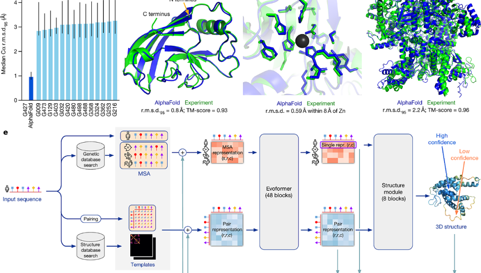 Το σύστημα τεχνητής νοημοσύνης AlphaFold 3 προβλέπει με ακρίβεια τη δομή πρωτεϊνών και άλλων τύπων βιομορίων