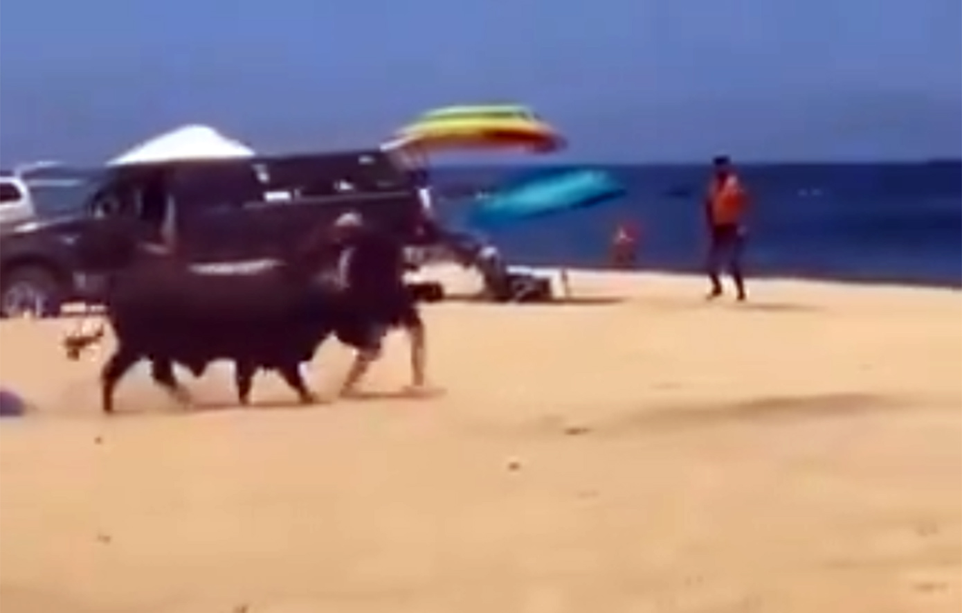 Η στιγμή που ταύρος επιτίθεται σε γυναίκα σε παραλία του Μεξικού &#8211; «Mην τον πλησιάζεις, μην παίζεις μαζί του, σε παρακαλώ» 