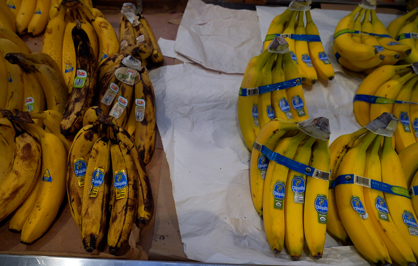 Διαταγή στην Chiquita να πληρώσει 38,3 εκατ. δολάρια σε οικογένειες ανδρών που δολοφόνησε ακροδεξιά οργάνωση στην Κολομβία