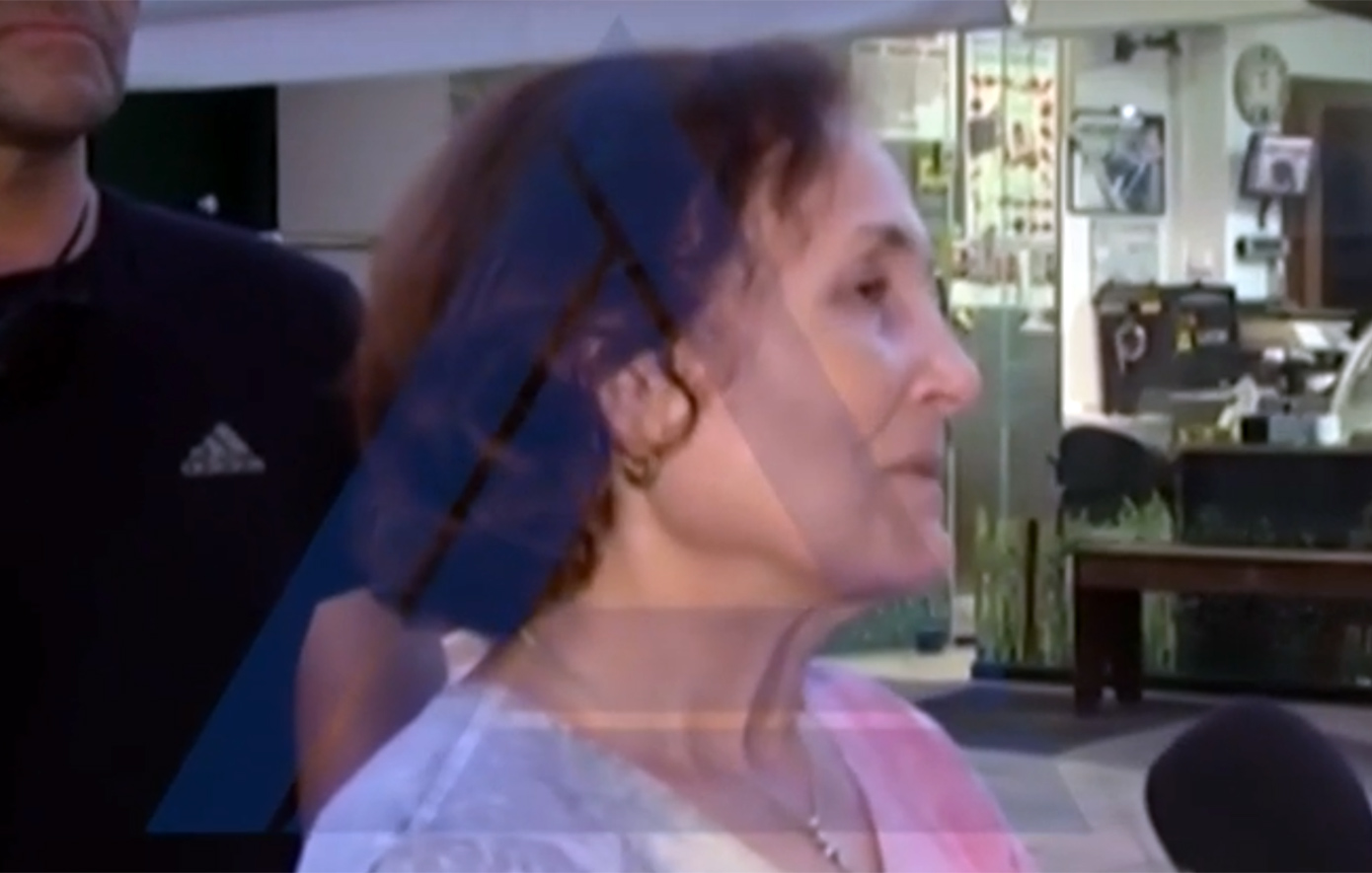 «Μπήκα για να βοηθήσω, πώς έγινε αυτό;», λέει η άγνωστη στους πολλούς ευρωβουλευτής, Γαλάτω Αλεξανδράκη