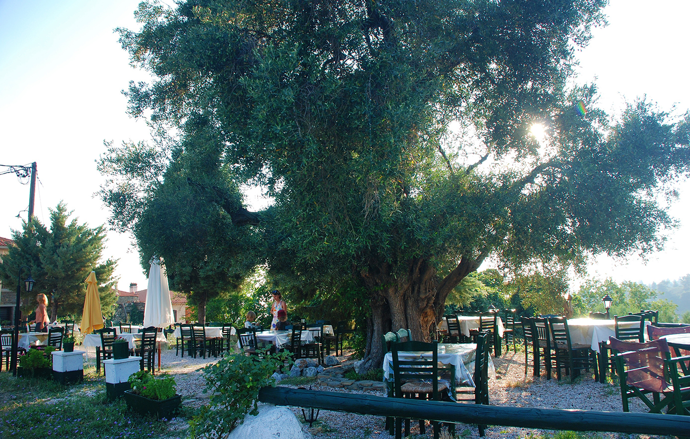 Παρθενώνας Σιθωνίας Χαλκιδική Παρθενώνας Σιθωνίας Χαλκιδική