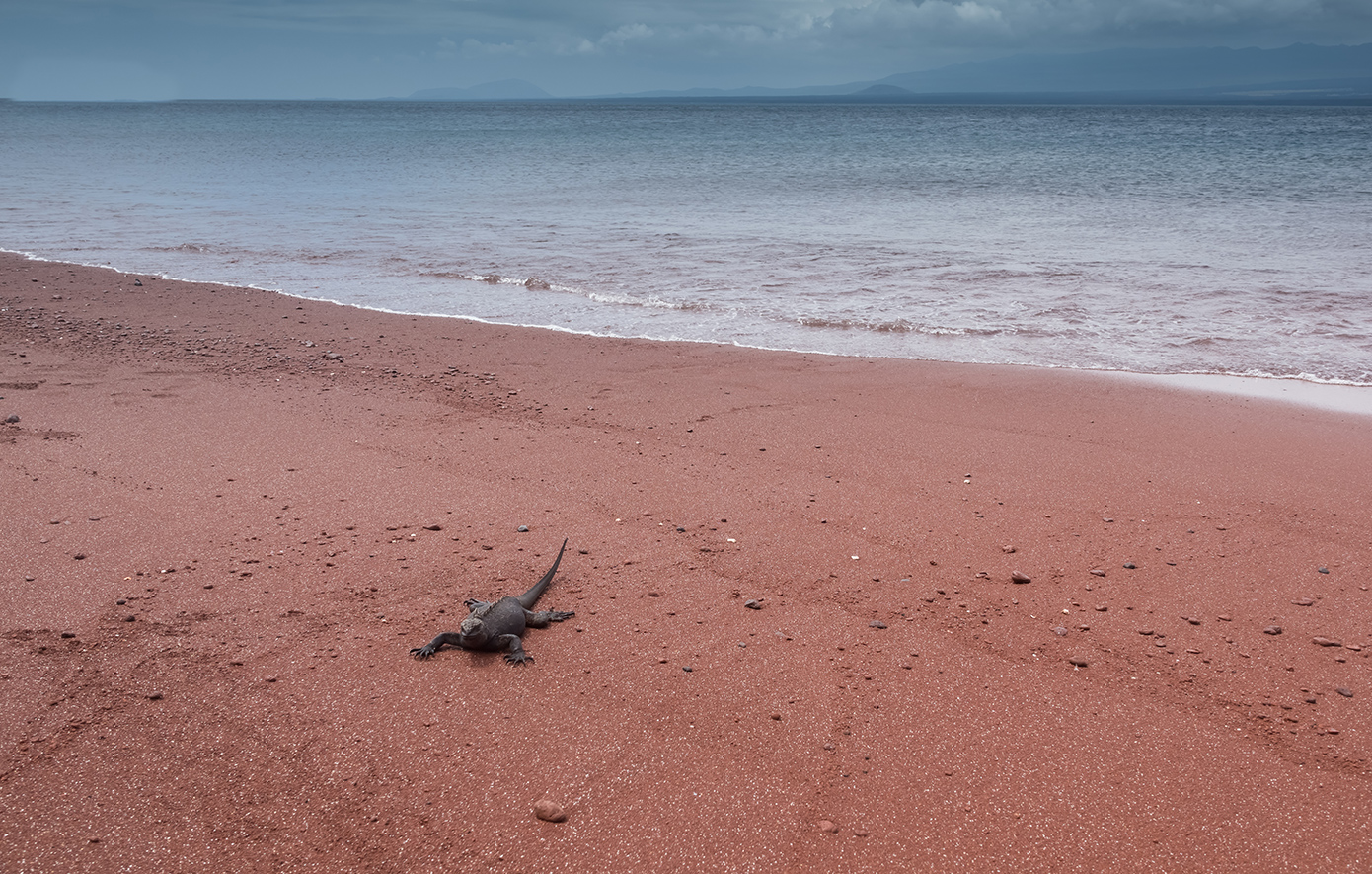 Rabida Γκαλαπάγκος Rabida Γκαλαπάγκος