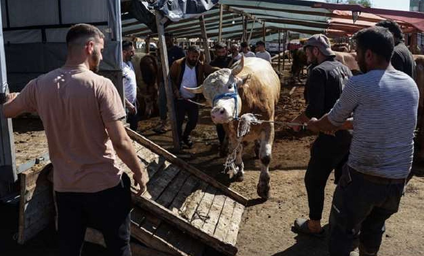 Τουρκία: Σχεδόν 16.000 άνθρωποι τραυματίστηκαν την πρώτη ημέρα της γιορτής της θυσίας, του Αΐντ ελ-Κεμπίρ
