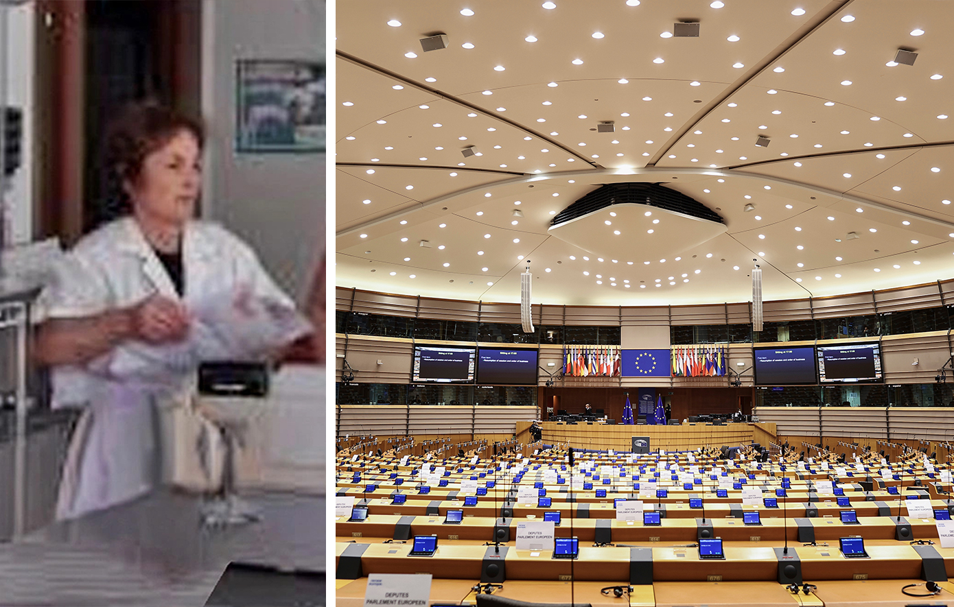 Γαλάτω Αλεξανδράκη: Ποια είναι η συνταξιούχος κτηνοτρόφος που εξελέγη στις ευρωεκλογές 2024 με την Ελληνική Λύση