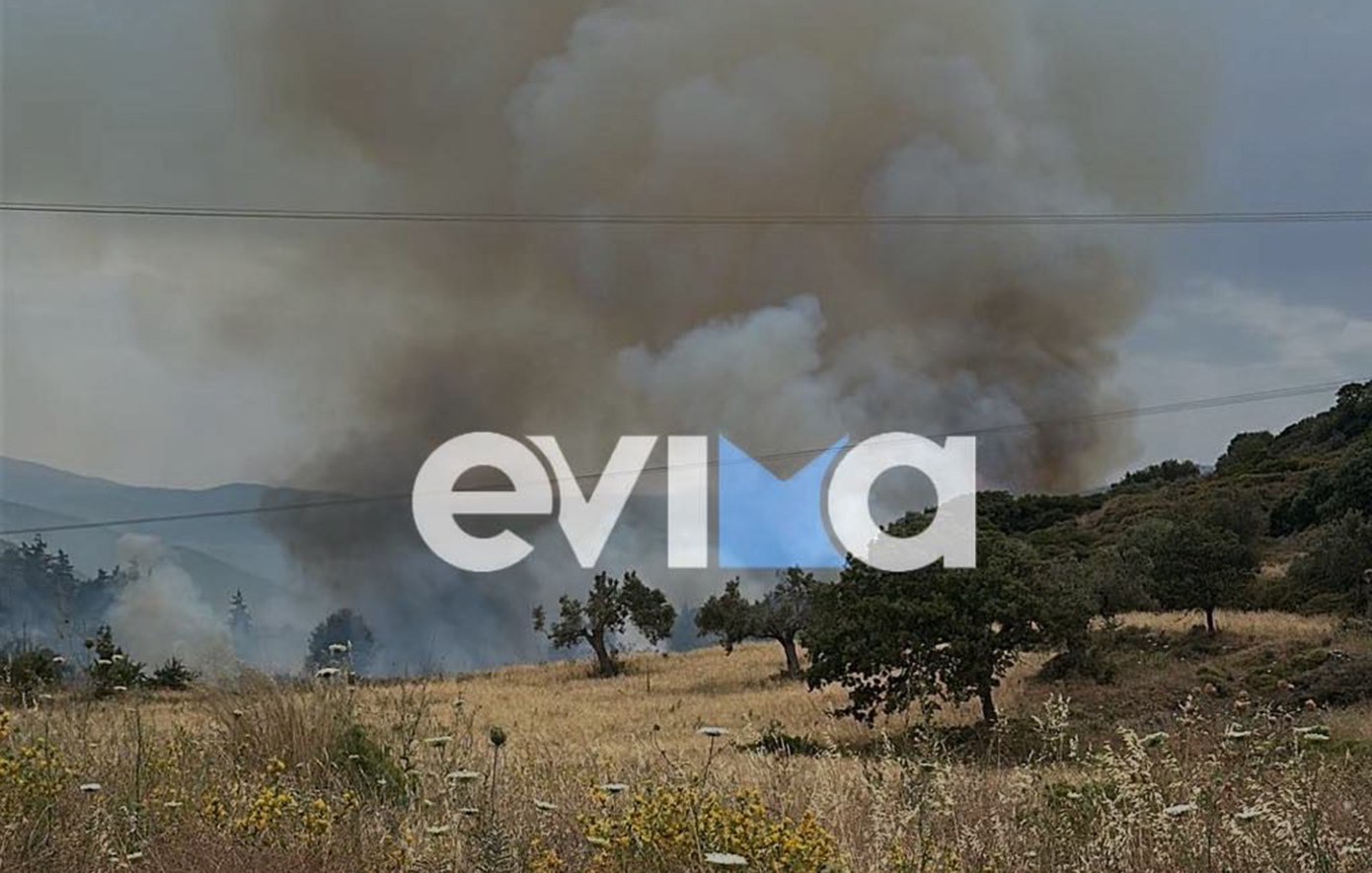 Φωτιά στην Εύβοια – Eπιχειρούν 40 πυροσβέστες και εναέρια μέσα – 112 για τους κατοίκους του Αλμυροπόταμου